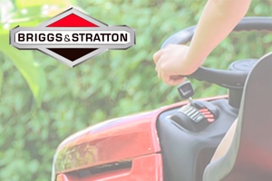 Briggs & Stratton Numer Identyfikacyjny & Model